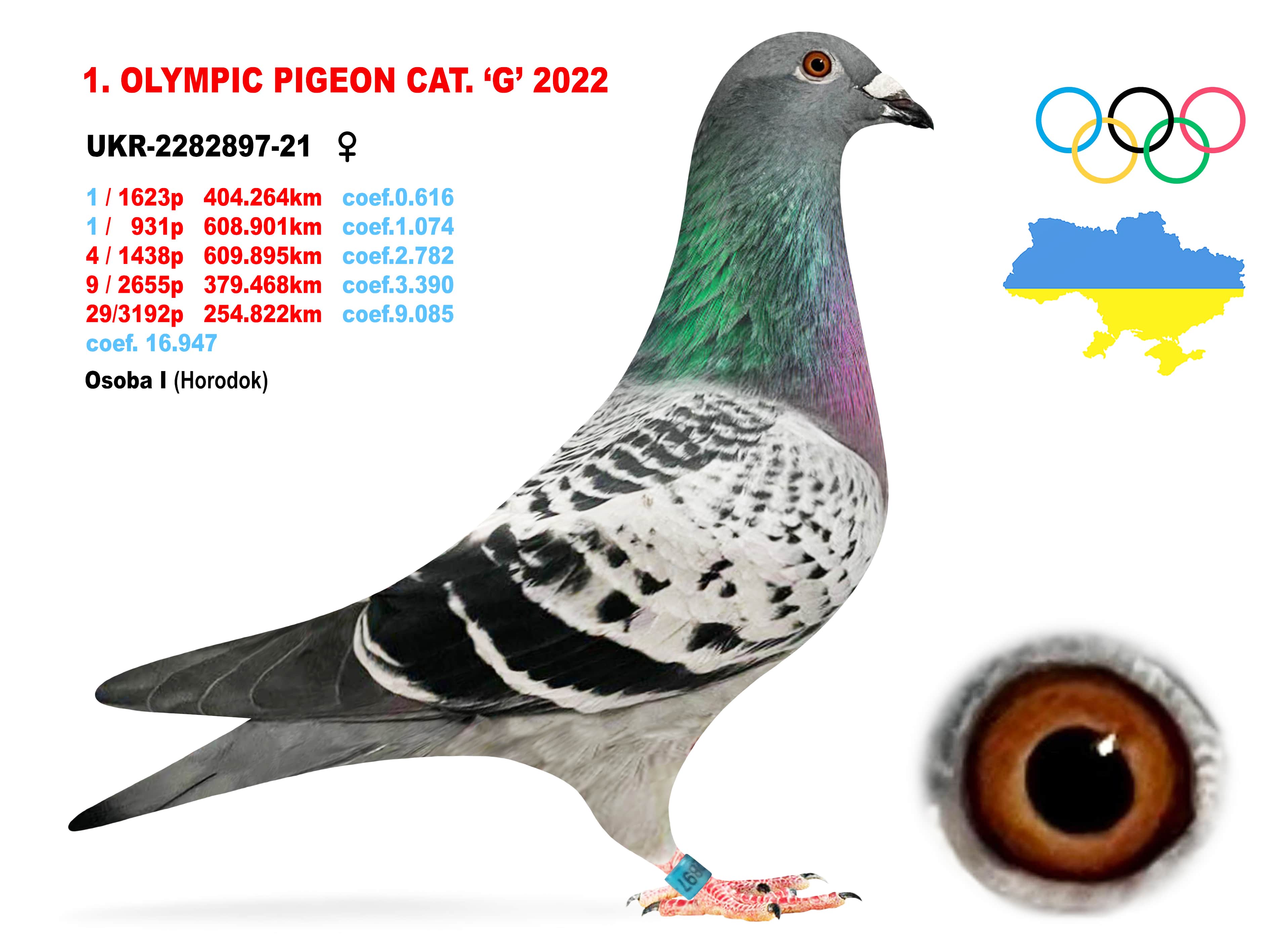 2022-G1